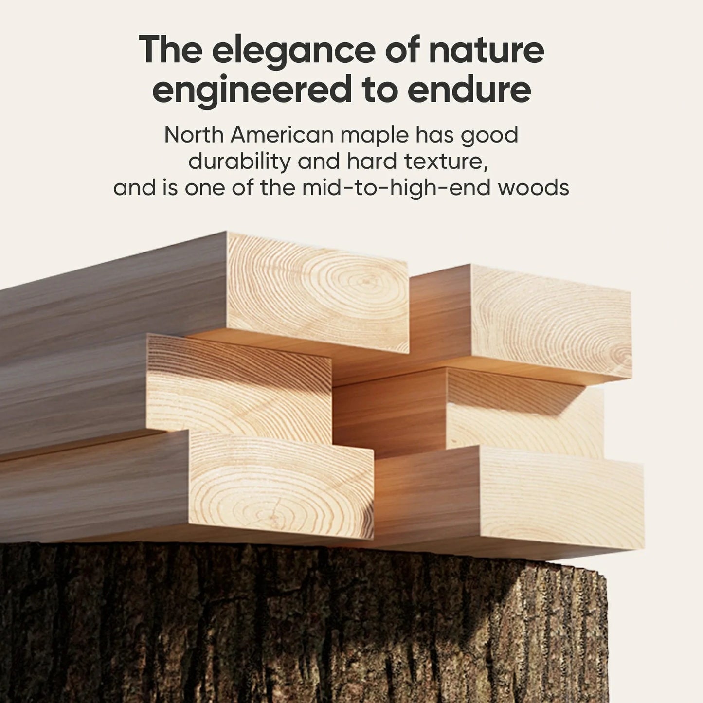 3-in-1 Pilates Cadillac